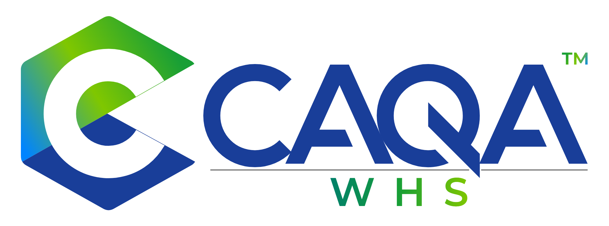 CAQA WHS logo